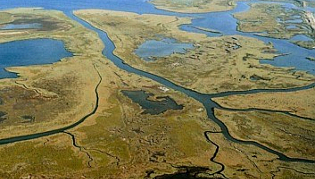 Tour of the Delta of Evros River