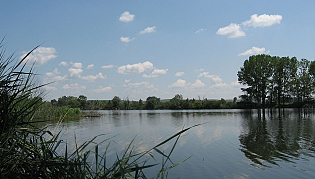 Zlato Pole, village of Nova Nadezhda