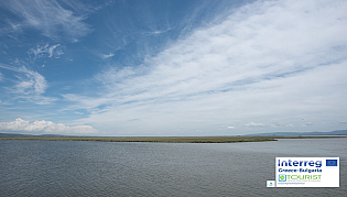 Delta of Evros River