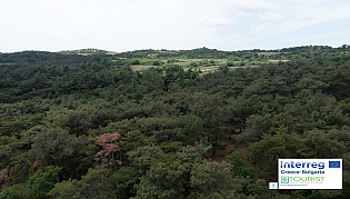 Fossilized Forest of Lefkimi and Fylakto
