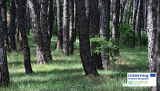 Национален парк Гората Dadia